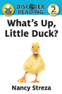 What'S Up Little Duck - Preview