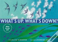 What'S Up, What'S Down?