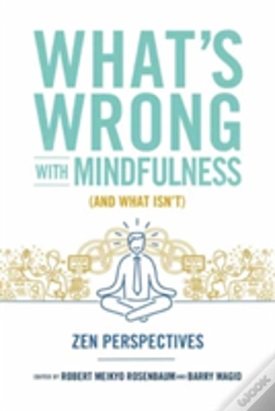 Capa do artigo What'S Wrong With Mindfulness