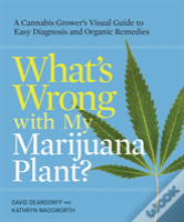 What'S Wrong With My Marijuana Plant?
