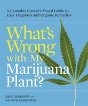 What'S Wrong With My Marijuana Plant? - Preview