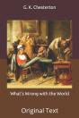 What'S Wrong With The World - Preview