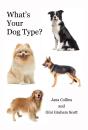What'S Your Dog Type - Preview