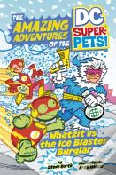 Whatzit Vs The Ice Blaster Burglar
