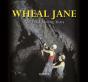 Wheal Jane - Preview