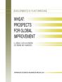 Wheat: Prospects For Global Improvement - Preview