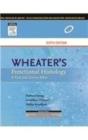 Wheater'S Functional Histology, 6e - Preview