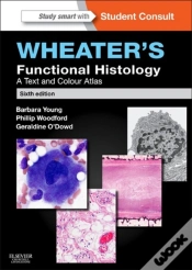 Capa do artigo Wheater