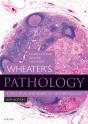 Wheater'S Pathology: A Text, Atlas And Review Of Histopathology E-Book - Preview