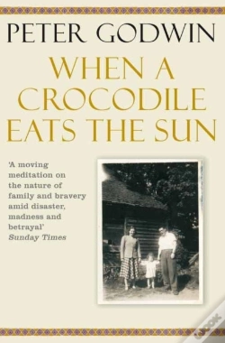 Capa do artigo When A Crocodile Eats The Sun