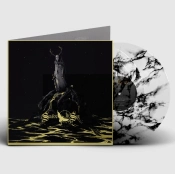 Capa do artigo When a Shadow Is Forced Into the Light - Vinil