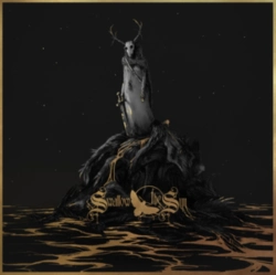 Capa do artigo When a Shadow Is Forced Into the Light - Vinil