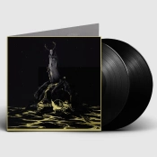 Capa do artigo When a Shadow Is Forced Into the Light - Vinil