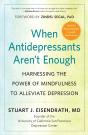 When Antidepressants Aren'T Enough - Preview