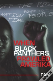 Capa do artigo When Black Panthers Prowled Amerika