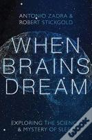 When Brains Dream