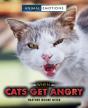 When Cats Get Angry - Preview