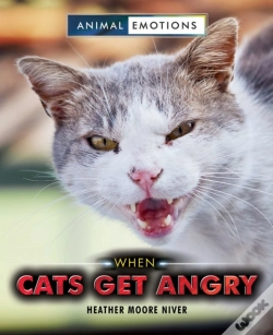 Capa do artigo When Cats Get Angry