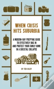 Capa do artigo When Crisis Hits Suburbia