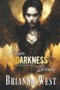 When Darkness Breaks - Preview
