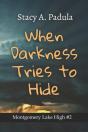 When Darkness Tries To Hide - Preview