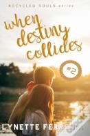 When Destiny Collides (Recycled Souls Book Two)