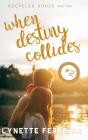 When Destiny Collides (Recycled Souls Book Two) - Preview