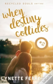 When Destiny Collides (Recycled Souls Book Two)