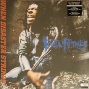 Capa do artigo When Disaster Strikes... - Vinil