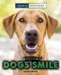When Dogs Smile - Preview