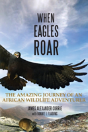 When Eagles Soar - Preview