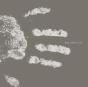 When Earth Lets Go - Vinil - Preview