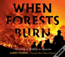Capa do artigo When Forests Burn