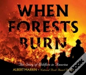 Capa do artigo When Forests Burn