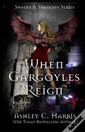 Capa do artigo When Gargoyles Reign
