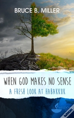 Capa do artigo When God Makes No Sense