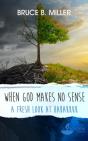 When God Makes No Sense - Preview