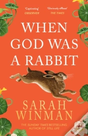 Capa do artigo When God Was A Rabbit