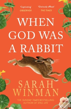 Capa do artigo When God Was A Rabbit