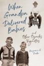 When Grandpa Delivered Babies And Other Ozarks Vignettes - Preview