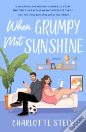 Capa do artigo When Grumpy Met Sunshine