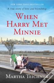 Capa do artigo When Harry Met Minnie