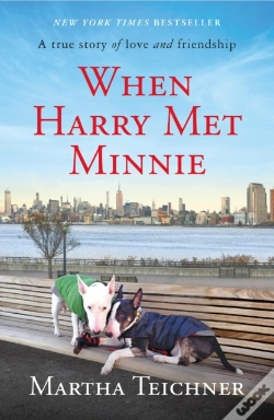 Capa do artigo When Harry Met Minnie