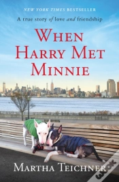 Capa do artigo When Harry Met Minnie