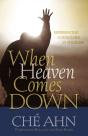 When Heaven Comes Down - Preview