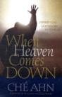 When Heaven Comes Down - Preview