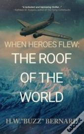 When Heroes Flew