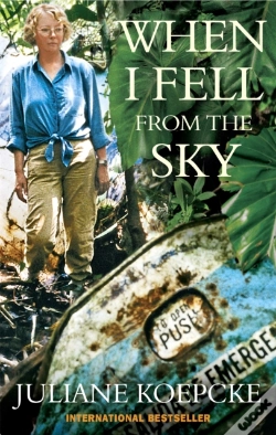 Capa do artigo When I Fell From The Sky