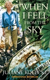 Capa do artigo When I Fell From The Sky