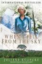 When I Fell From The Sky - Preview